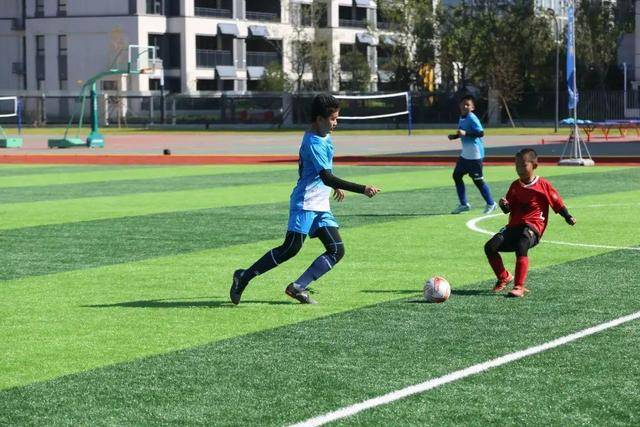 张镇麟20分辽宁不敌新疆 吴前16分浙江胜青岛